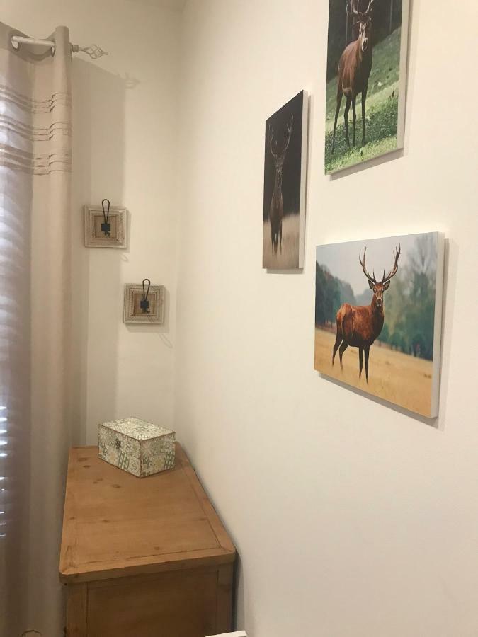 Apartament Neret II 소르트 외부 사진